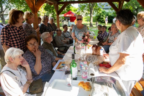 Tóvárosi piknik gyerekprogramokkal és operettslágerekkel